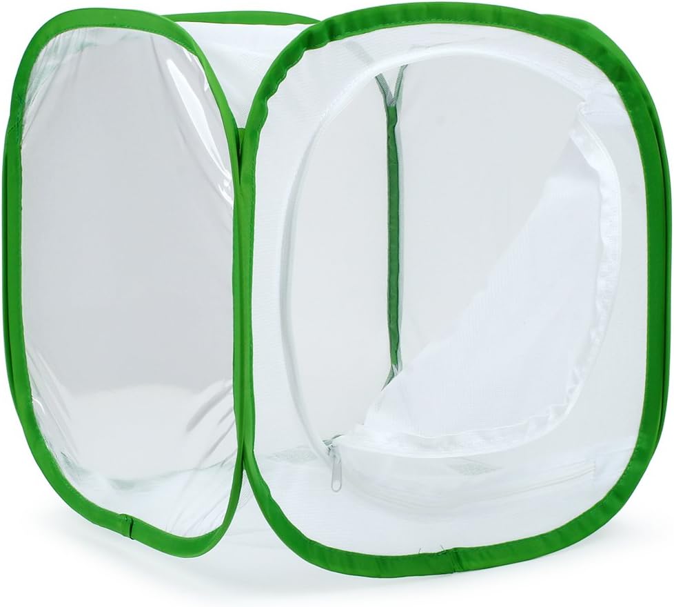 RESTCLOUD Insect and Butterfly Habitat Cage Terrarium Pop-up 12 X 12 X 12 Inches