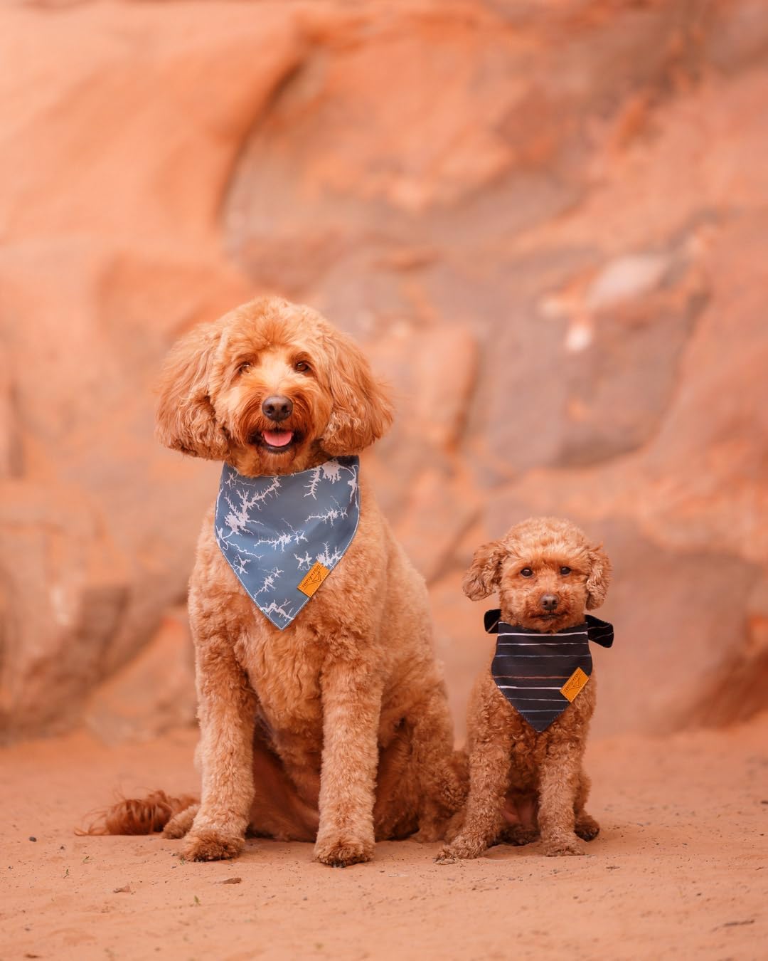 Remy+Roo Large Summer Dog Bandanas - 4 Pack Powell Set | Premium Durable Adjustable Polyester Fabric | Patented Shape Boy Dog Bandanas | Pack of Bandanas for Dogs