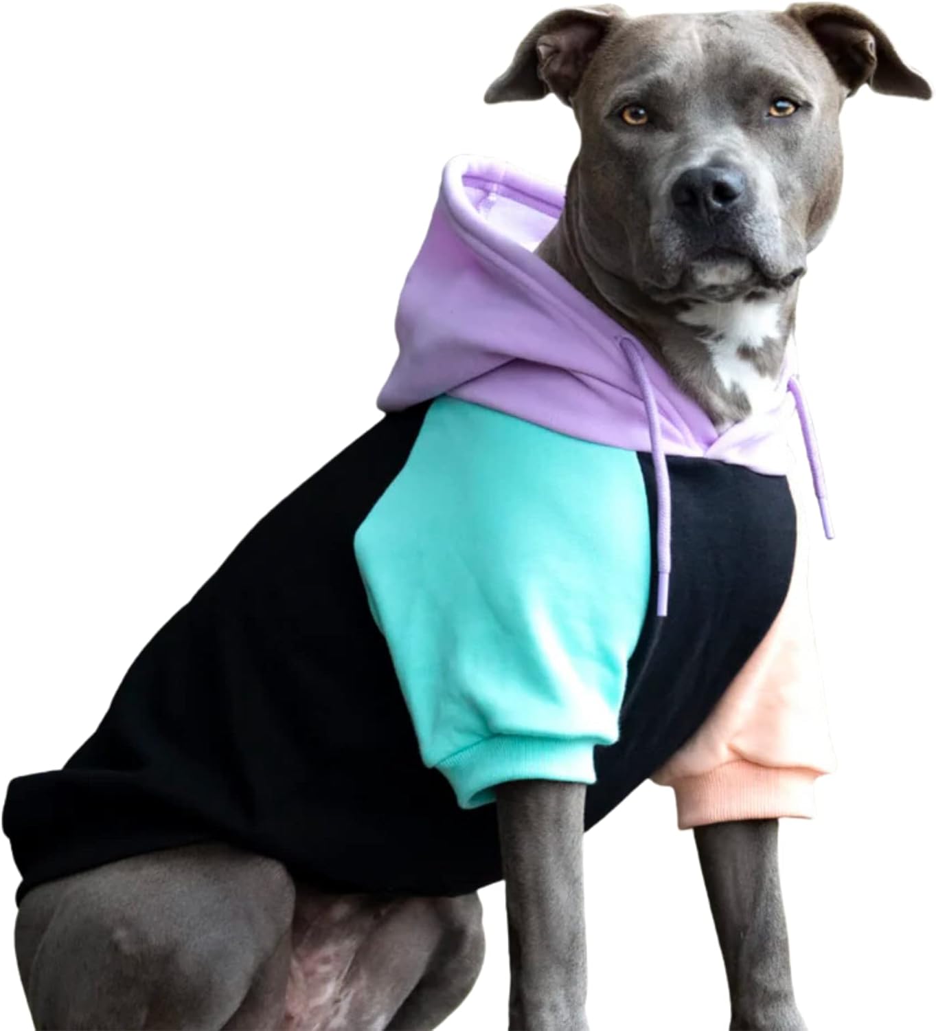 Spark Paws Dog Hoodie – Premium Dog Sweater for Small, Medium, and Large Dogs | Warm Outfits for French Bulldogs, Pitbull, Puppy, Winter Jacket Alternative - Cyber Punk - 5XL