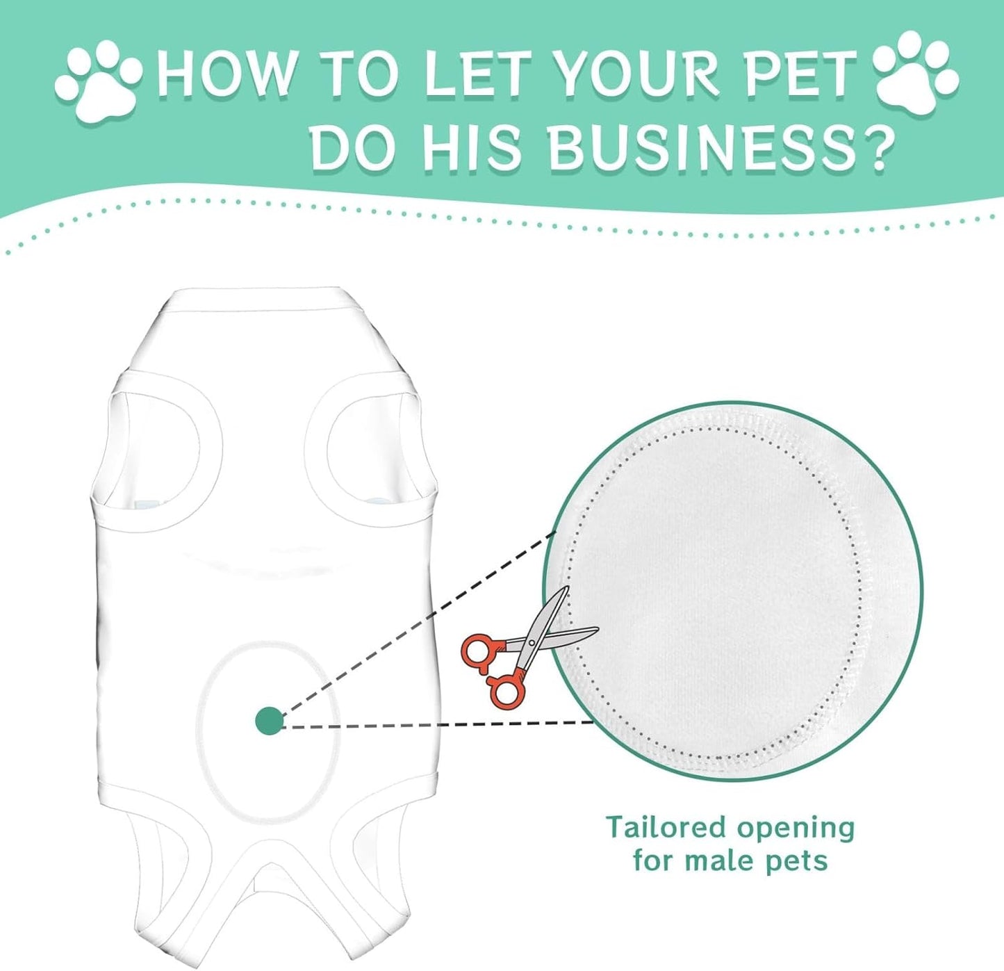 Personalized Cat Surgery Recovery Suits After Neuter Surgery Clothes for Little Animals