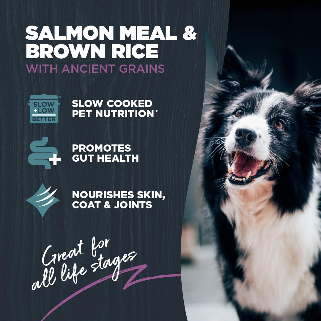 Blackwood Sensitive Skin & Stomach Dry Dog Food, Salmon Meal & Brown Rice with Ancient Grains, 10 Pound Bag with Prebiotics & Probiotics to Promote Gut Health