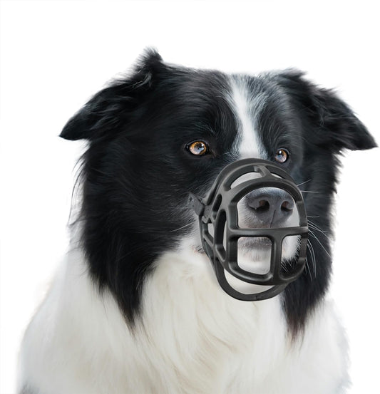 Basket Muzzle Allows Panting Drinking - Anti Biting Chewing, Sturdy Lightweight, Suitable for Grooming Trimming Training, Black, Size 2