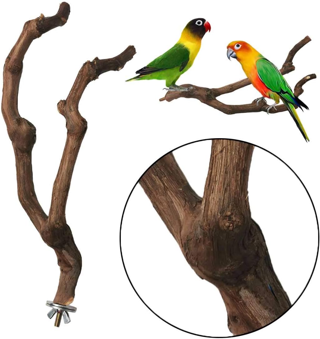 kathson Natural Parrot Perch Bird Stand Pole Wild Grape Stick Paw Grinding Fork Parakeet Climbing Standing Branches Toy Chewable Cage Accessories for Small Budgies Cockatiels Lovebirds 3PCS