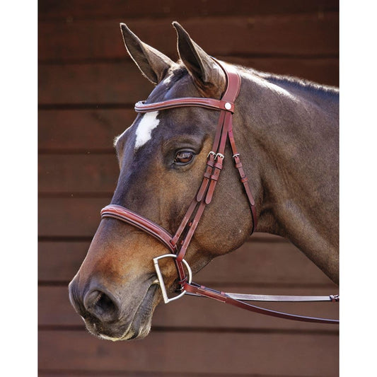 Dover Saddlery Ergonomic Hunter Bridle - Oakbark - Horse-F/S