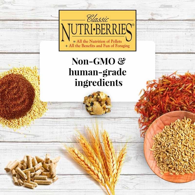 LAFEBER'S Classic Nutri-Berries Pet Bird Food, Made with Non-GMO and Human-Grade Ingredients, for Parrots (10 oz Pack of 2)