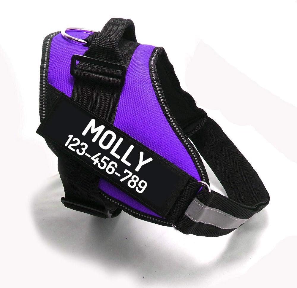 PawPawify Custom No Pull Dog Harness with Name and Phone Number, Heavy Duty Personalized Pet Vest to Prevent Tugging, Pulling, or Choking, Training and Walking (Purple, M (20-40 LBS))