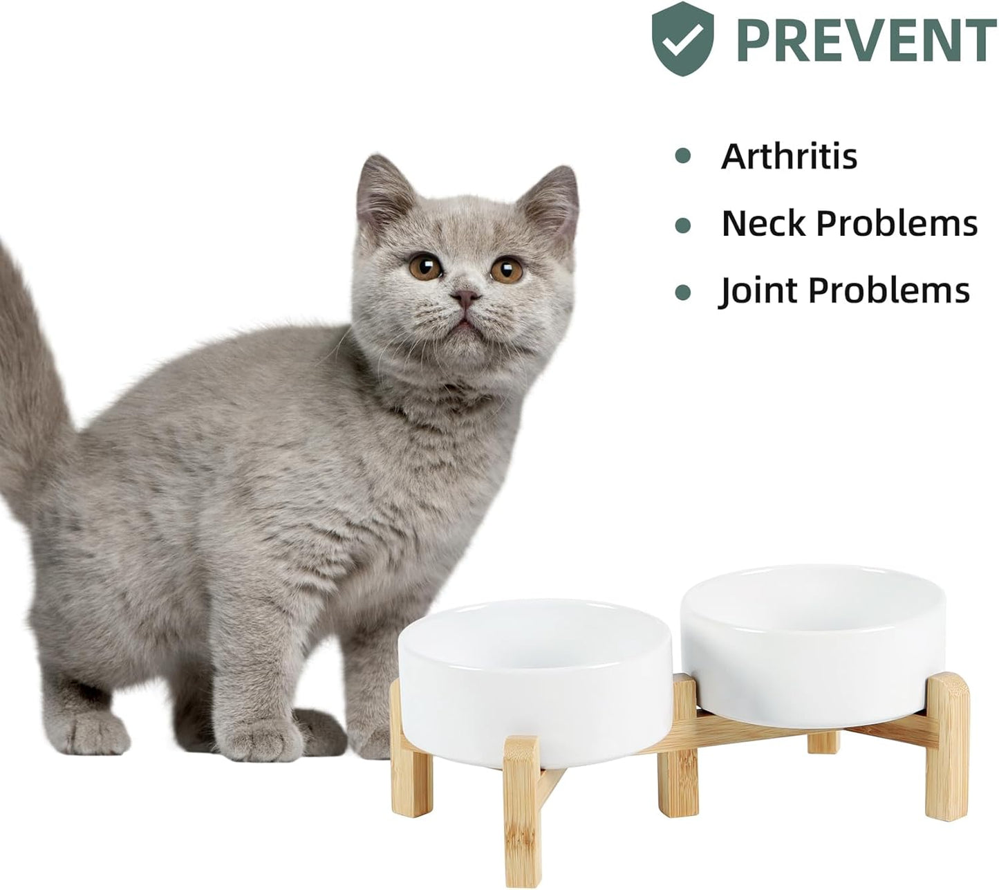 Ceramic Raised Double Bowls Set with Stand, 2 Heights Elevated, Food & Water Bowls for Small Breed Dogs, Cats, Kitty, Weighted Dog Dishes, Pet Bowls(5.1'',13.5oz, White)