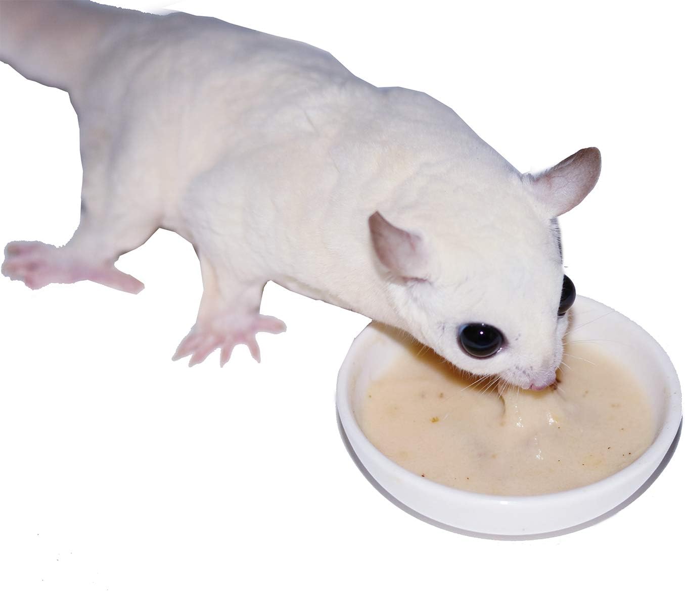 Exotic Nutrition Gliderade Nectar (3 lb.) - Vitamin-Enriched Healthy Nectar Supplement - Powdered Mix - Provides Necessary Carbohydrates for Sugar Gliders