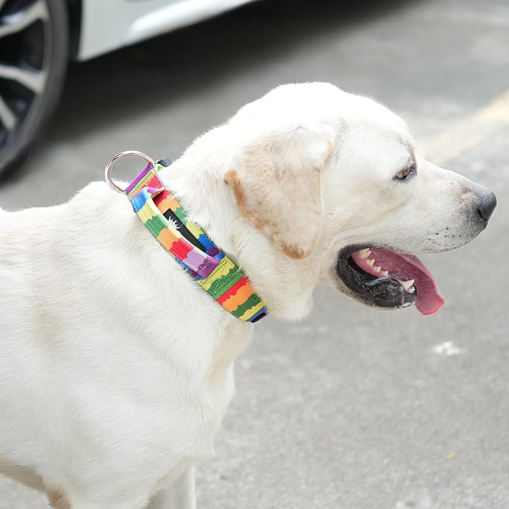 TSPRO Premium Dog Collars Tactical Dog Collar with Handle and Heavy Duty Quick-Release Metal Buckle Durable Thick and Adjustable for Medium to Large Dogs (Vitality Gradient L)