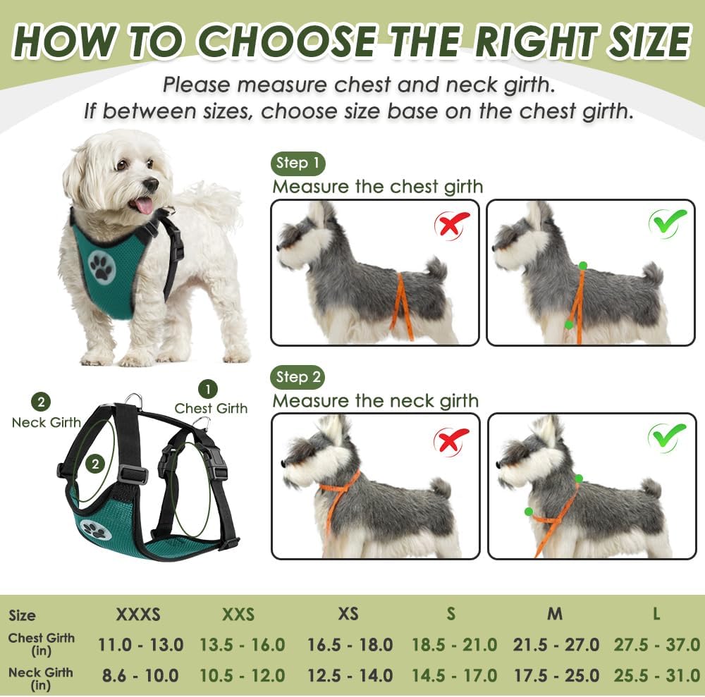 SlowTon Dog Seat Belt Harness for Car, Dog Car Harness Adjustable Mesh Breathable & Dog Seatbelt Safety Tether with Elastic Bungee for Small Medium Large Pets(Green, Double Clip, M)