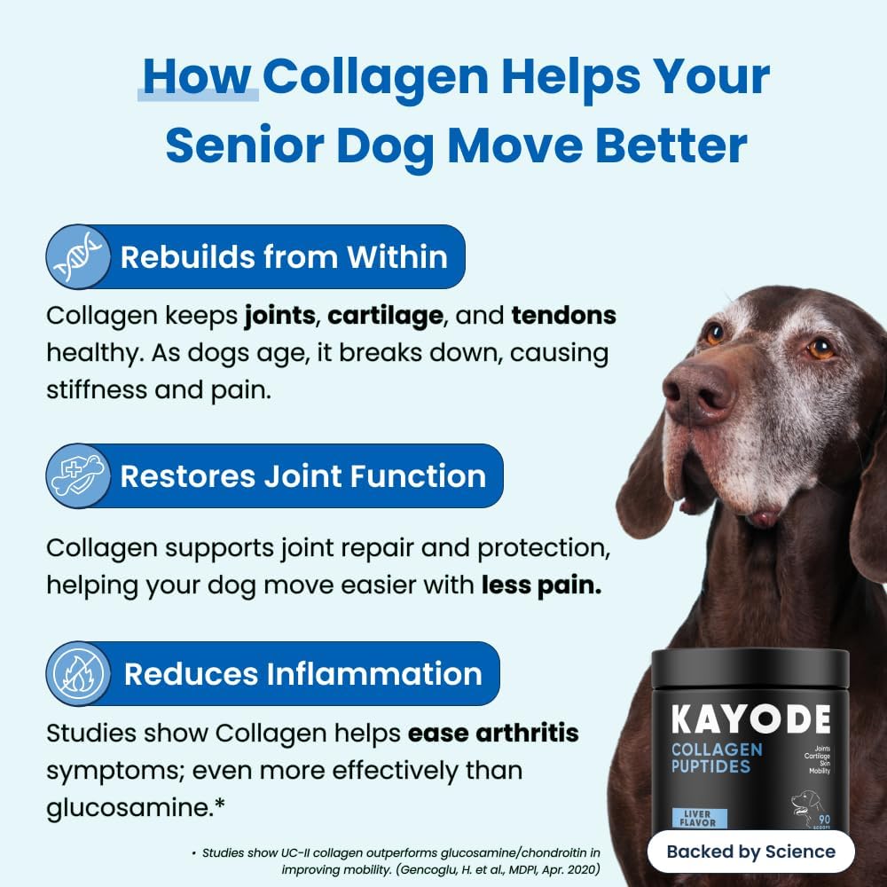 Collagen Puptides - Collagen for Dogs | Premium Dog Joint Supplement | 2X The Amount As Liquid Droppers | Great for Senior & Adult Dogs. Includes Omega 3.