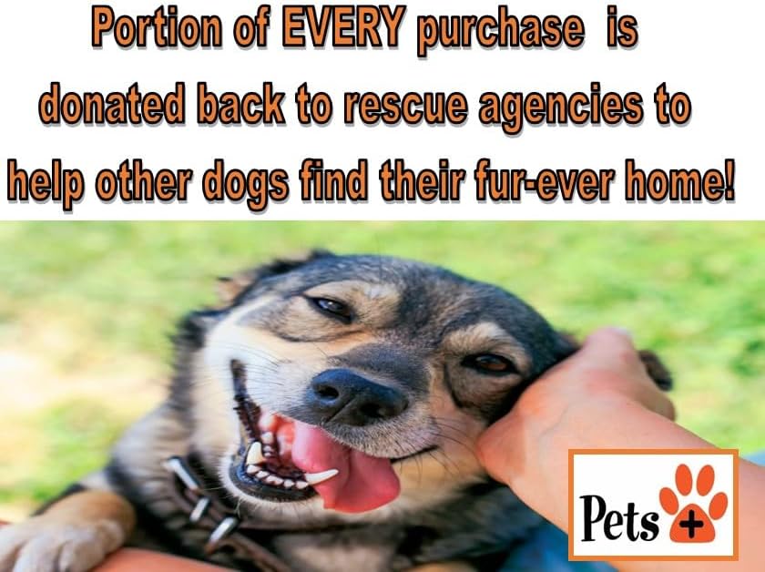 Pets Plus Premium Dog Treats – Venison Jerky, 5 Pack | All-Natural, High-Protein Dog Chews, Grain-Free Healthy Treats for Training, Rewards & Dental Support