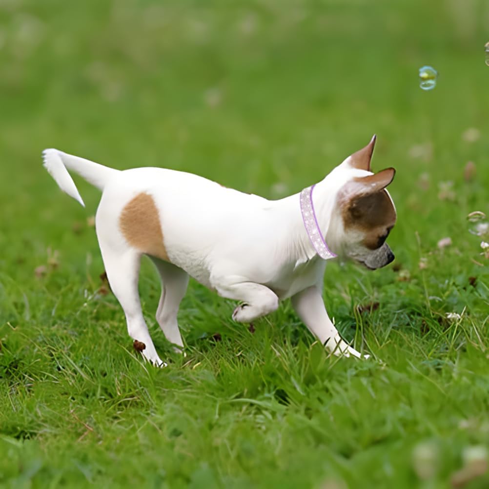 Rhinestone Dog Collar for Small Dogs, Bling Diamond Fancy Crystal Glitter Pretty Jewel Pet Puppy Collars for XXS XS Small Medium Large Breed Girl Dogs Female Cats Kitten, Red XXL