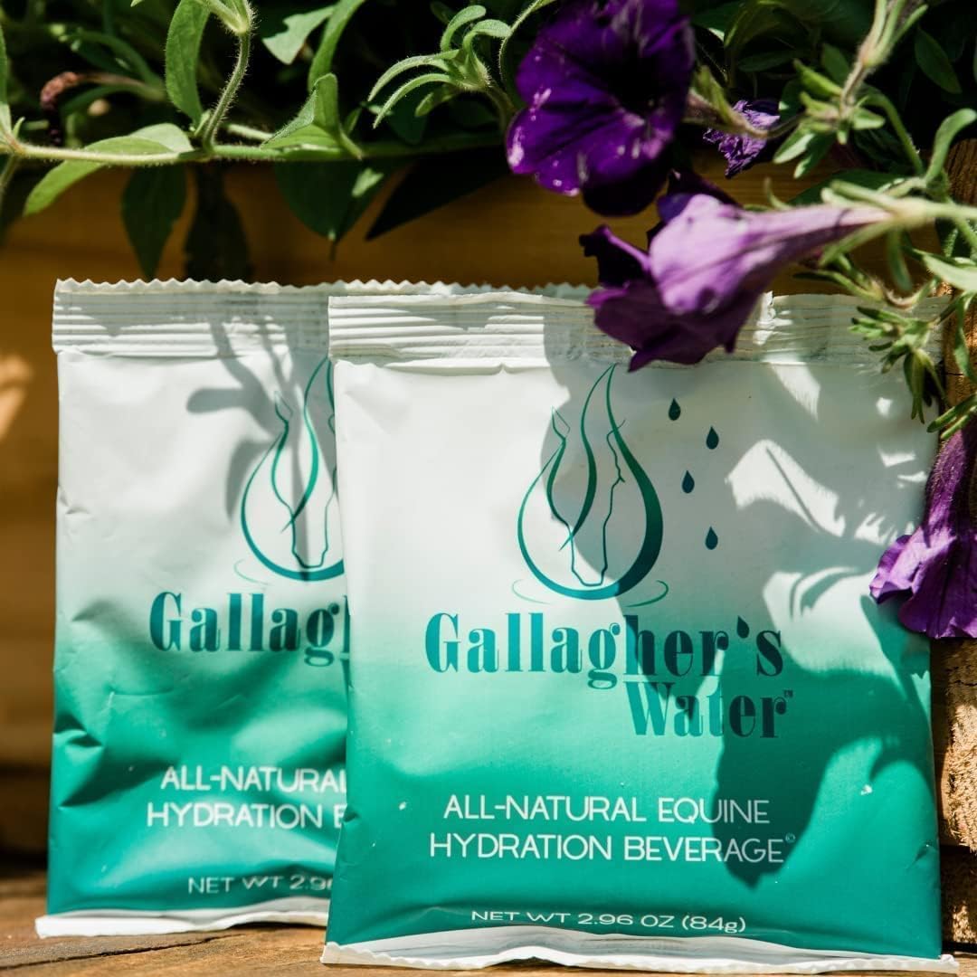 Gallagher's Water 12 Pack All-Natural Equine Hydration Treat - Enhancement Powder Mix Horse Drink Treat to Help Encourage to Drink Water - Made with All Natural Ingredients, FEI Compliant
