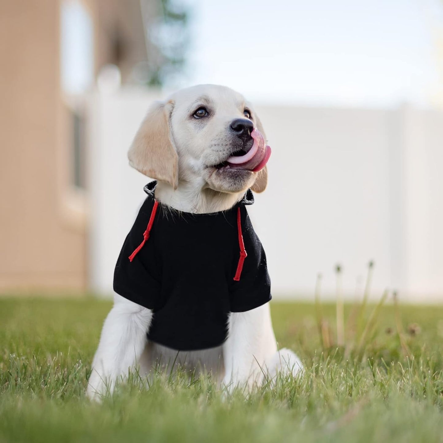 SAWMONG Dog Hoodie,Flannel Pet Hooded Sweater with Hat Puppy Pullover Sweater Shirt,Dog (Black,2XL)