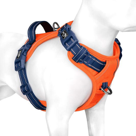 PHOEPET No Pull Dog Harness, Unique Colors Reflective Adjustable Dog Vest, with Soft Training Handle Metal Clips for Small Medium Large Dogs (Orange Base & Blue Straps,M)
