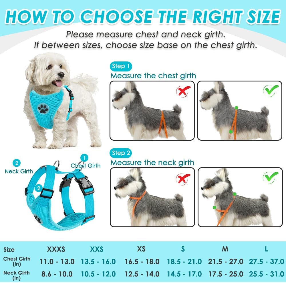 SlowTon Dog Seat Belt Harness for Car, Dog Car Harness Adjustable Mesh Breathable & Dog Seatbelt Safety Tether with Elastic Bungee for Small Medium Large Pets(Light Blue, Double Clip, S)