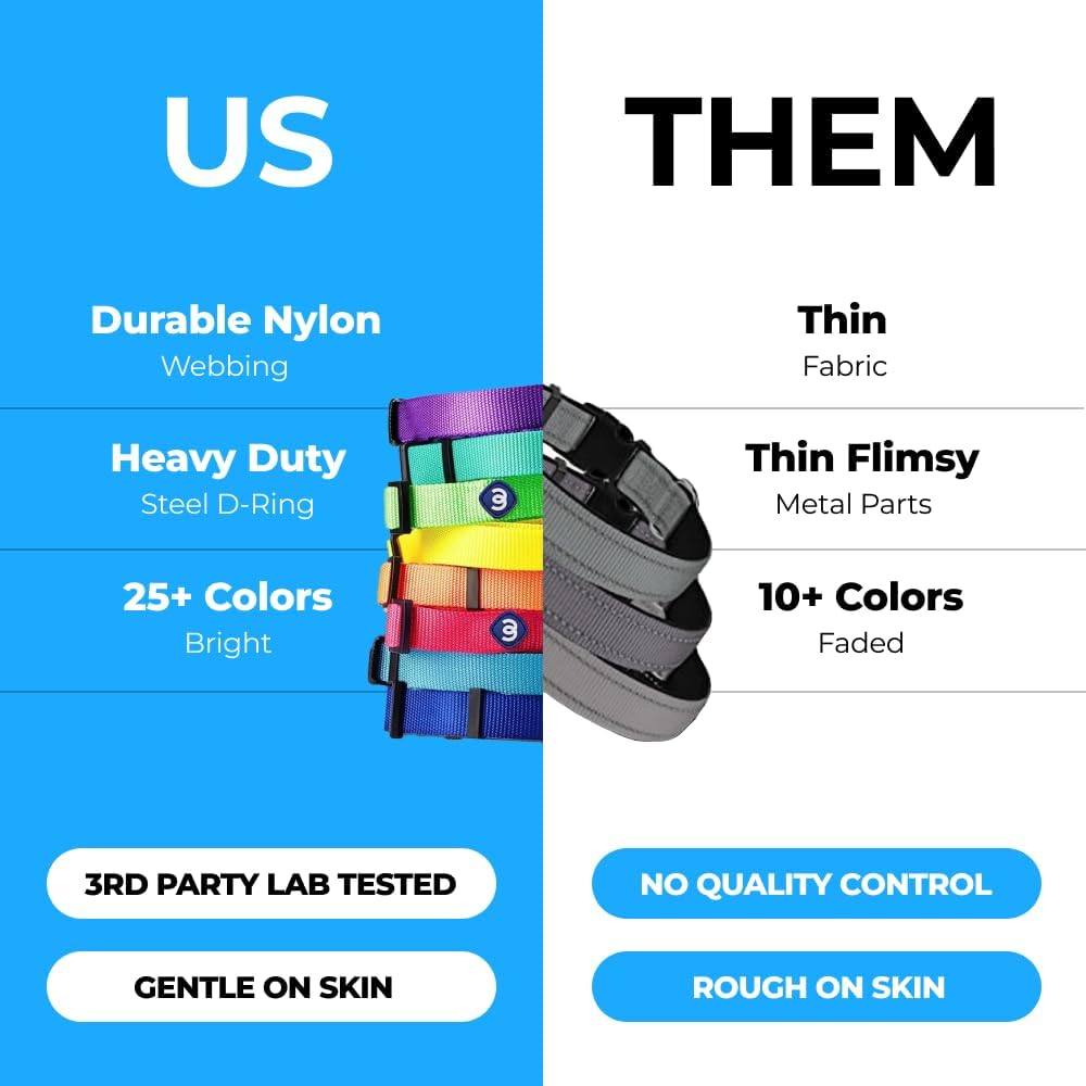 Blueberry Pet Essentials Dog Collar | Adjustable Girl Dog Collars for Medium Dogs | Pastel Green Puppy Collar | Classic Nylon Dog Collars for Small Dogs | Pet Accessories