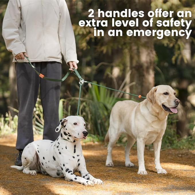 Howgo Double Slip Leash Slip Lead | Dual Dog Lead for 2 Dogs,360° Swivel No Tangle | Dog Training Nylon Leash and Collar | Double Clip Coupler and Splitter | Lightweight Aluminum (Green, 3FT)