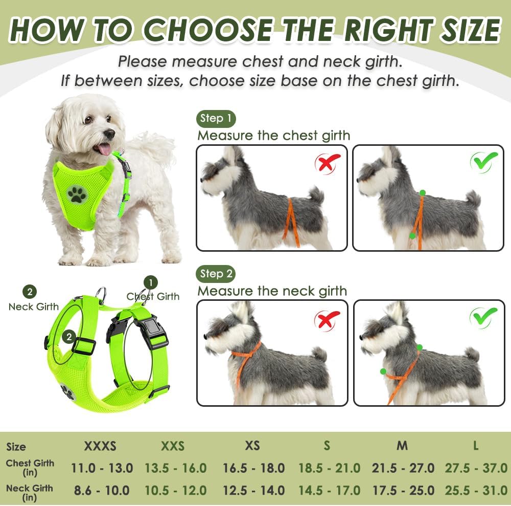 SlowTon Dog Seat Belt Harness for Car, Dog Car Harness Adjustable Mesh Breathable & Dog Seatbelt Safety Tether with Elastic Bungee for Small Medium Large Pets(Lime, Double Clip, M)
