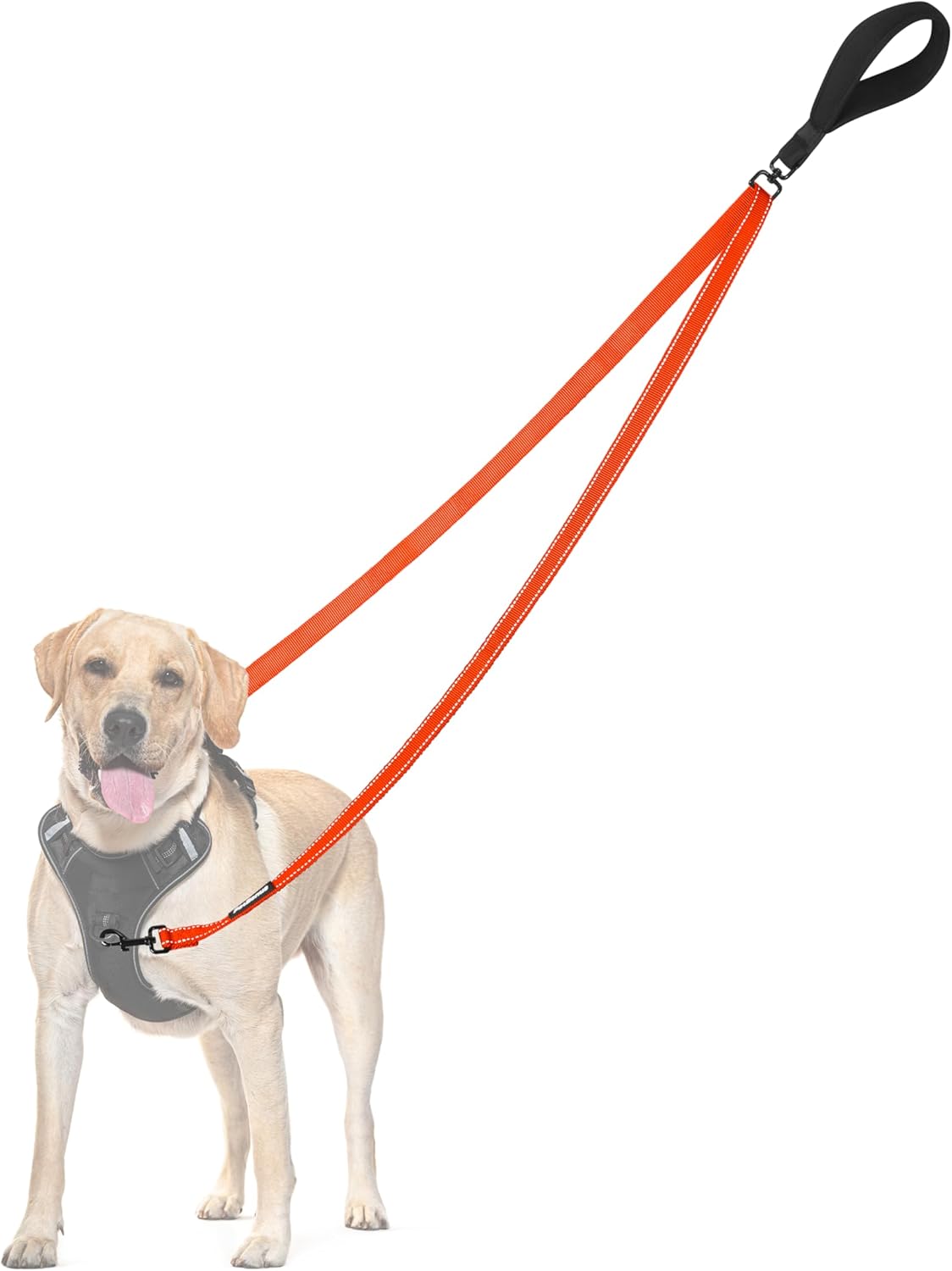 PetBonus Two Point Control Dog Leash, Works with No Pull Harnesses, No Tangle Training Leashes, Soft Padded and Reflective Walking Lead, Converts to Single Lead for Medium Large Dogs (Orange)