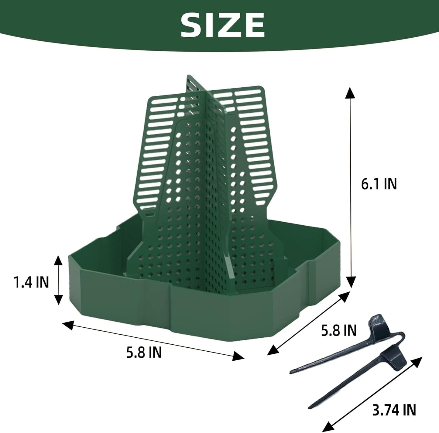 Chameleon Feeder Bearded Dragon Feeder for Mounted Insect with Rope and Tweezers, Tank and Aquarium Accessories for Lizard, Bearded Dragon, Gecko, Frog（Large）