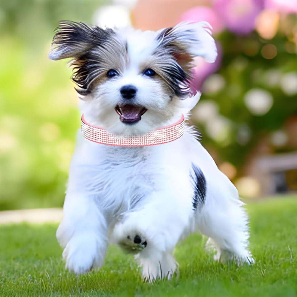 Rhinestone Dog Collar for Small Dogs, Bling Diamond Fancy Crystal Glitter Pretty Jewel Pet Puppy Collars for XXS XS Small Medium Large Breed Girl Dogs Female Cats Kitten, Blue XXL