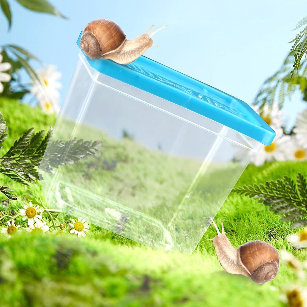 48 Pack Small Plastic Reptile Carrier Tarantula Enclosure Breeding Box Hatching Container for Spider Snail Turtle Hermit Crab Insect (3.9 x 2.9 x 3.1 Inch)