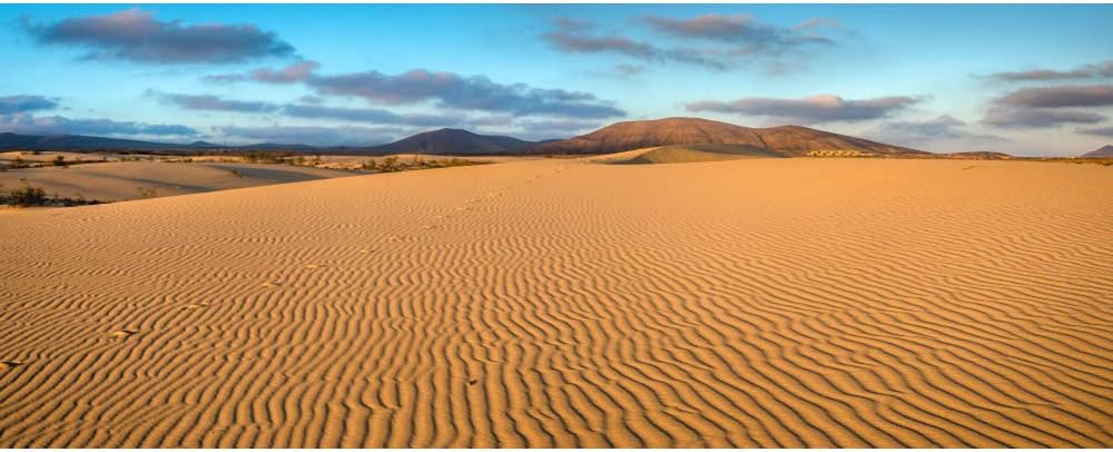 Renaiss 12x6ft Desert Photography Backdrop Golden Ripple Desert Mountain Sand Dunes Blue Sky Gobi Scenery Background Nature Landscape Backgrounds Wilderness Photo Video Shoot Studio Props