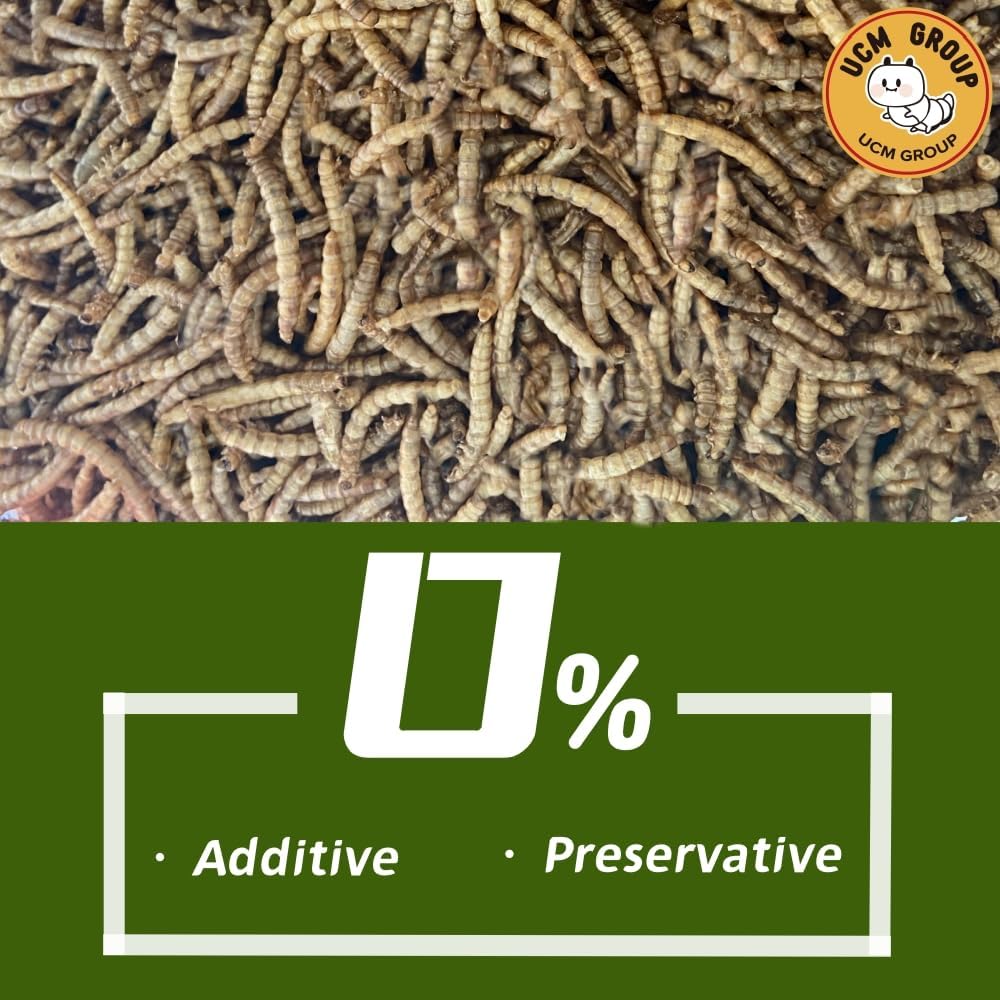 UCM Group 10LB Dried Mealworms for Wild Birds, Chickens, High Protein Organic Chicken Feed, 100% Non-GMO for Chickens, Ducks, Turtles and Reptiles