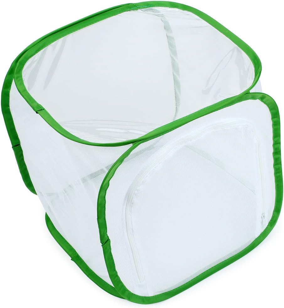 RESTCLOUD Insect and Butterfly Habitat Cage Terrarium Pop-up 12 X 12 X 12 Inches