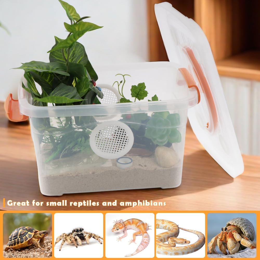 Reptile Feeding Box Snake Plastic Transparent Breeding Box Hatching Container for Small Reptile Bearded Gecko Dragon Lizard Spider Frog Scorpion (11 x 7.8 x 6.7 Inch)