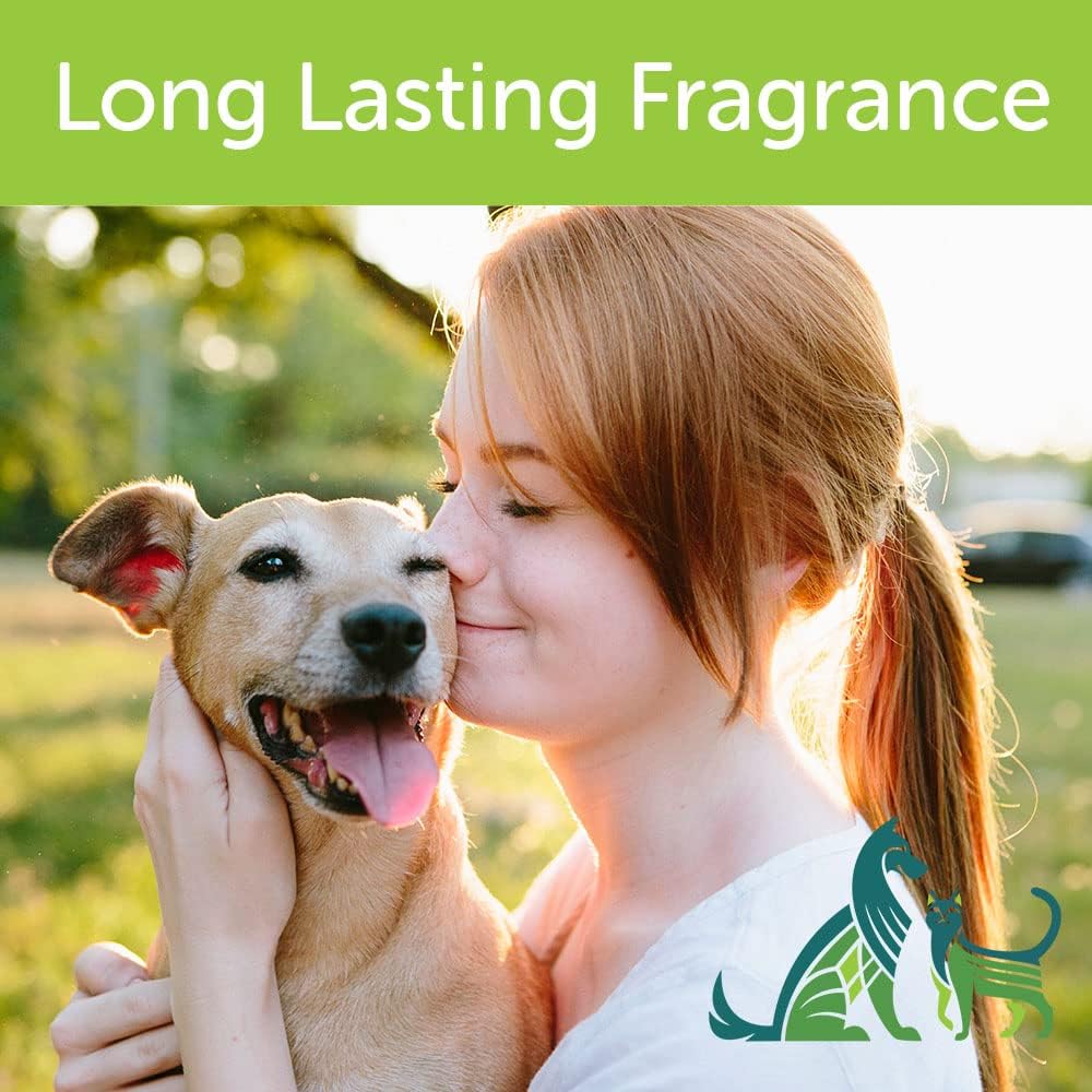 Nootie Daily Spritz Cucumber Melon 8 oz (DS0810)