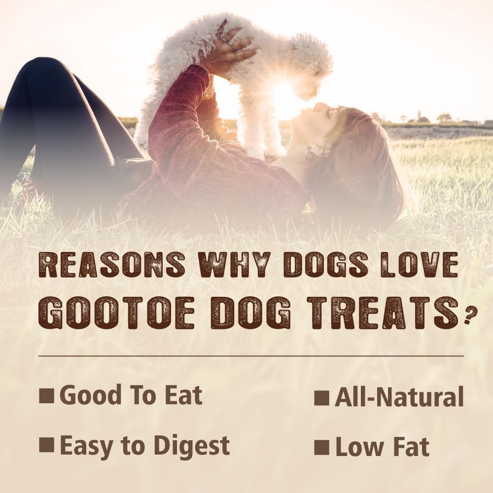 Gootoe Soft Chicken Jerky Cuts 1 lb, Dog Treats, All Natural, Hypoallergenic & Grain-Free, High-Protein, Healthy & Easily Digestible, Soft Texture, Resealable