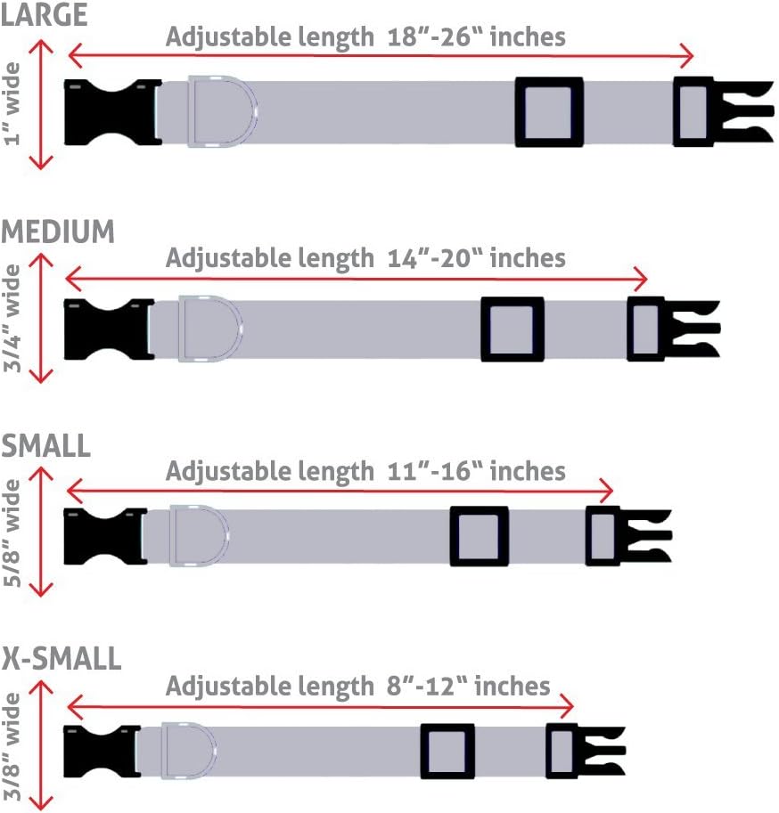 GoTags Dog Collars, Durable Solid Nylon Dog Collars in 5 Color Options and 4 Adjustable Sizes for Puppy and Dogs Extra Small, Small, Medium or Large