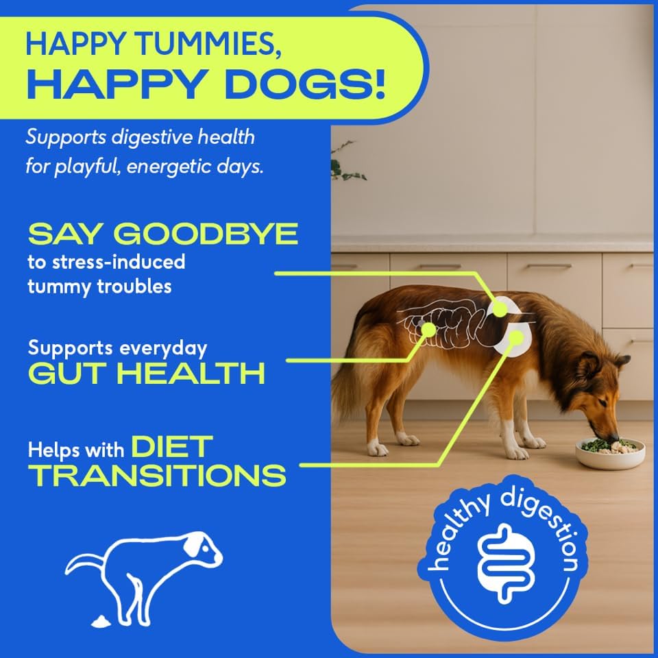 Native Pet Probiotics for Dogs - Dog Probiotics Powder for Digestive Health, Gut Support, & Immune Boost – Vet-Formulated Powder for Maximum Potency with Digestive Enzymes & Prebiotics - 60 Scoops