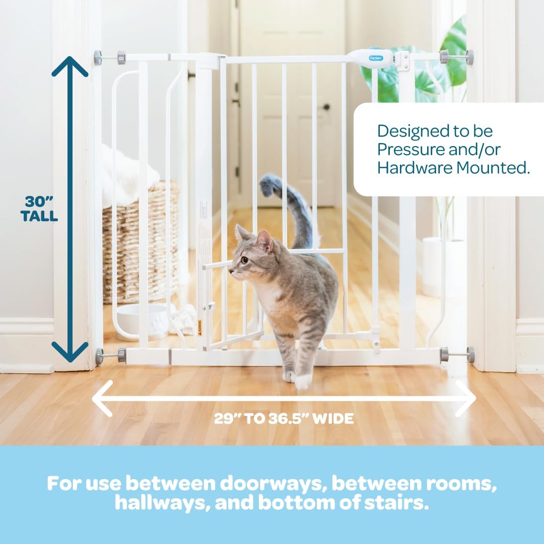 Carlson Extra Wide Walk Through Pet Gate with Small Pet Door, Includes 4-Inch Extension Kit, Pressure Mount Kit and Wall Mount Kit,White