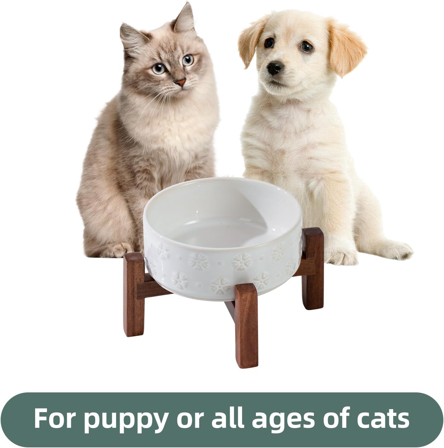 Ceramic 5.1inch Raised Dog and Cat Bowl Set, 2 Heights Elevated Wooden Stand for Puppy, Kitty, Cats, Weighted Pet Food and Water Dishes(5.1'',13.5oz, Arctic White)
