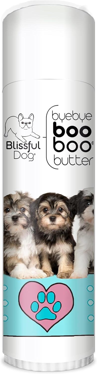 The Blissful Dog Havanese Boo Boo Butter, 0.50-Ounce
