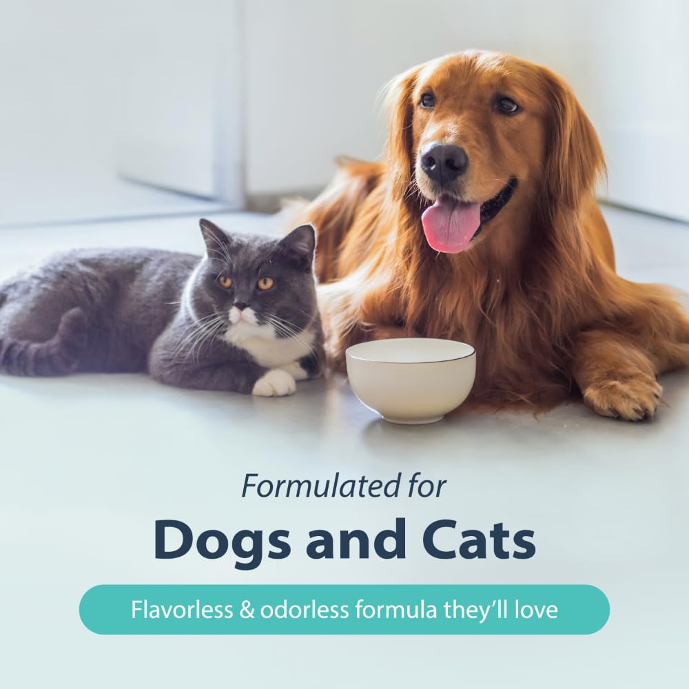 Dental Fresh Water Additive for Dogs, Original Formula, 17oz – Dog Breath Freshener and Teeth Cleaning for Dental Care– Add to Water