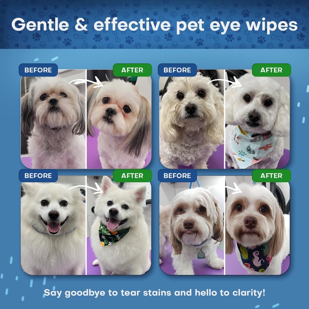 Pet Eye Wipes for Dogs | 3X Larger Unscented Hypoallergenic Gentle Eye Cleaner Wipes for Dogs & Cats | Pet Tear Stain Remover Wipes | 60 Count