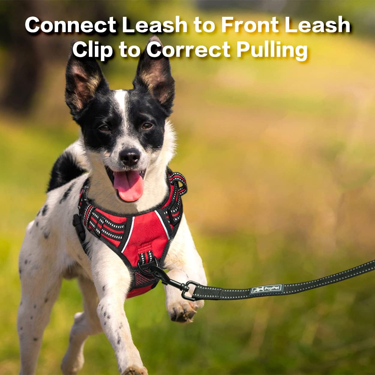 PoyPet No Pull Dog Harness, No Choke Front Clip Reflective Dog Vest with Soft Padded Vertical Handle, 3 Leash Attachments for Small Medium Large Dogs (Red,L)