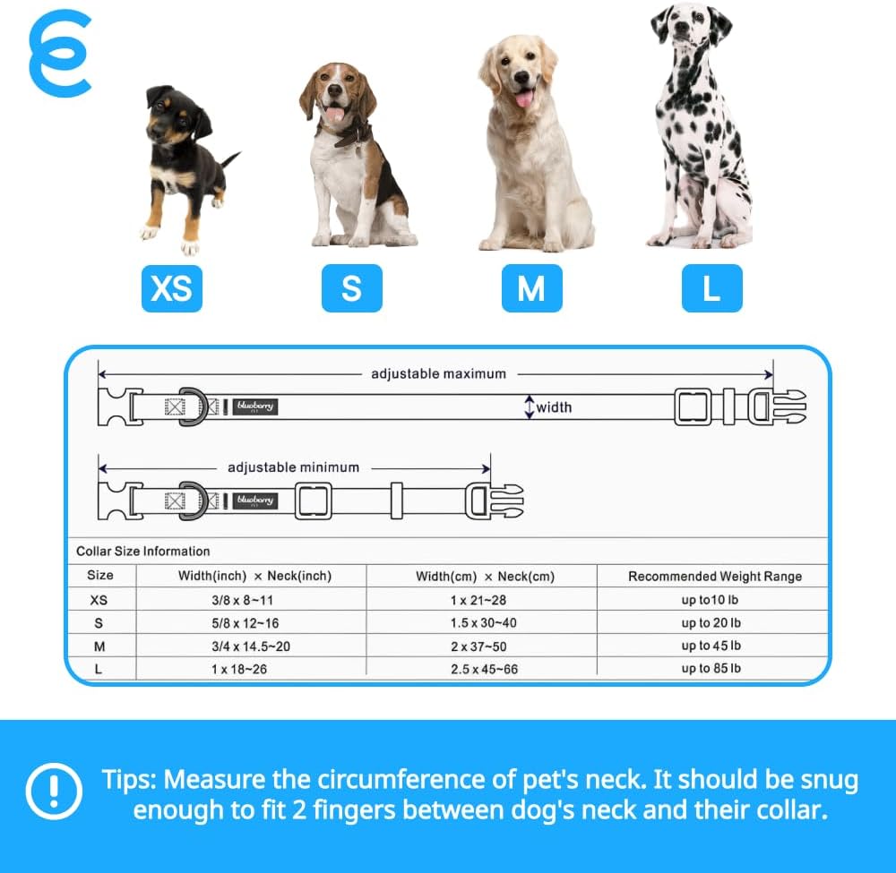 Blueberry Pet Essentials Matching Large Dog Collar | Adjustable Classic Solid Color Nylon Dog Collars for Large Dogs | Dark Orchid Dog Collar for Large Dogs