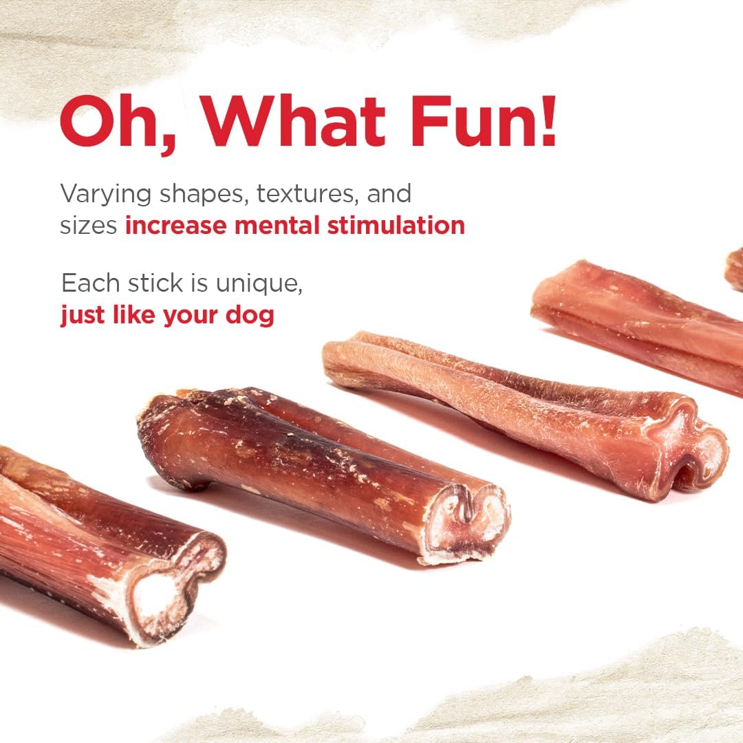 Natural Farm Odor Free Eccentric Bully Sticks (2-5 Inch, 8 Ounces Bag) for Small & Medium Dogs - 100% Beef Chews for Pups, Non-GMO, Grain-Free, Fully Digestible Long Lasting Dog Treats