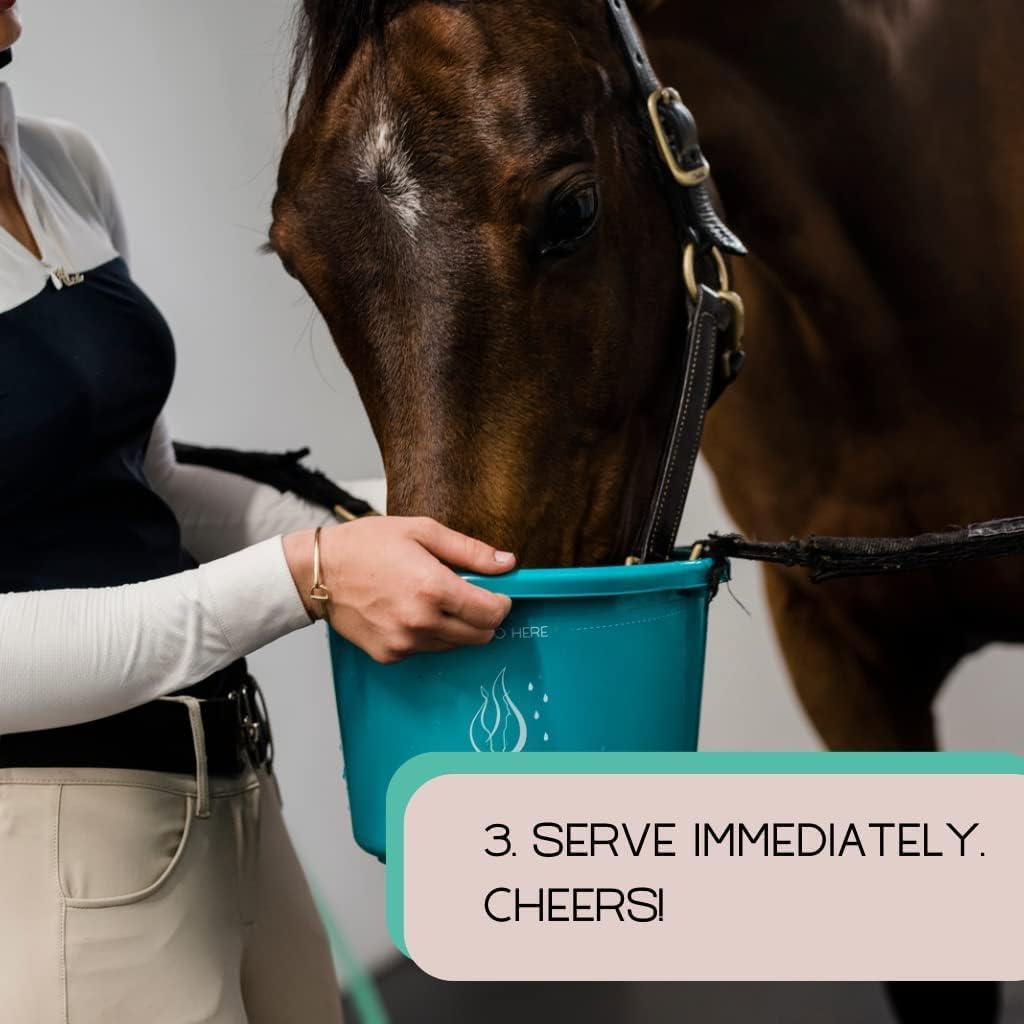 GALLAGHER'S WATER 2 Pack All-Natural Equine Hydration Treat - Enhancement Powder Mix Horse Drink Treat to Help Encourage to Drink Water - Made with All Natural Ingredients, FEI Compliant