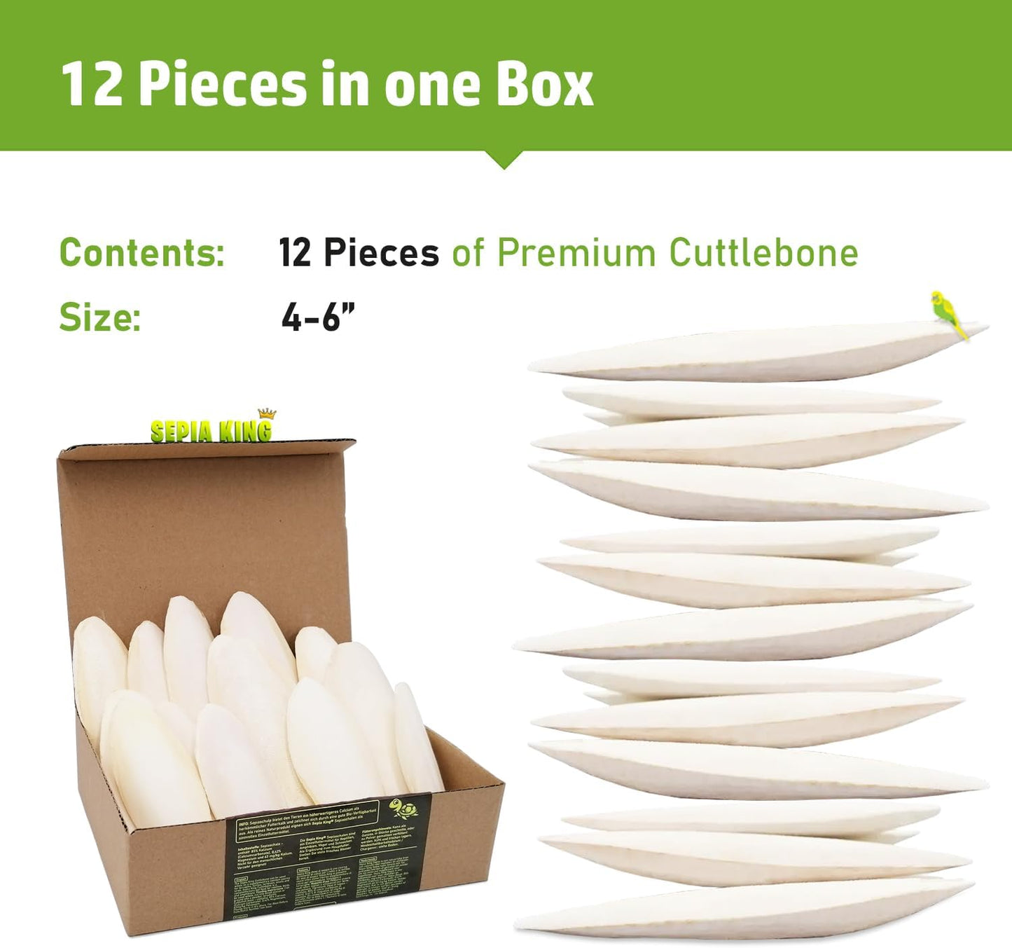 Medium - 100% Natural Calcium Supplement - Premium Cuttlebone Perfect for Birds, Tortoises, Snails, Reptiles - 12 Pack