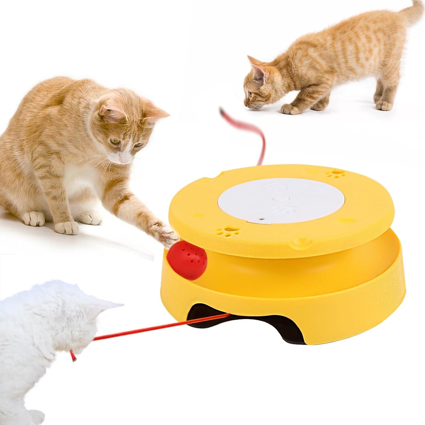 LASOCUHOO 2-in-1 Automatic Cat Toy with Track & Jumping String – Interactive Electric Toy with Rolling Balls & Bell, Battery-Powered (3 AA), Auto Shut-Off for Multi-Cat Play