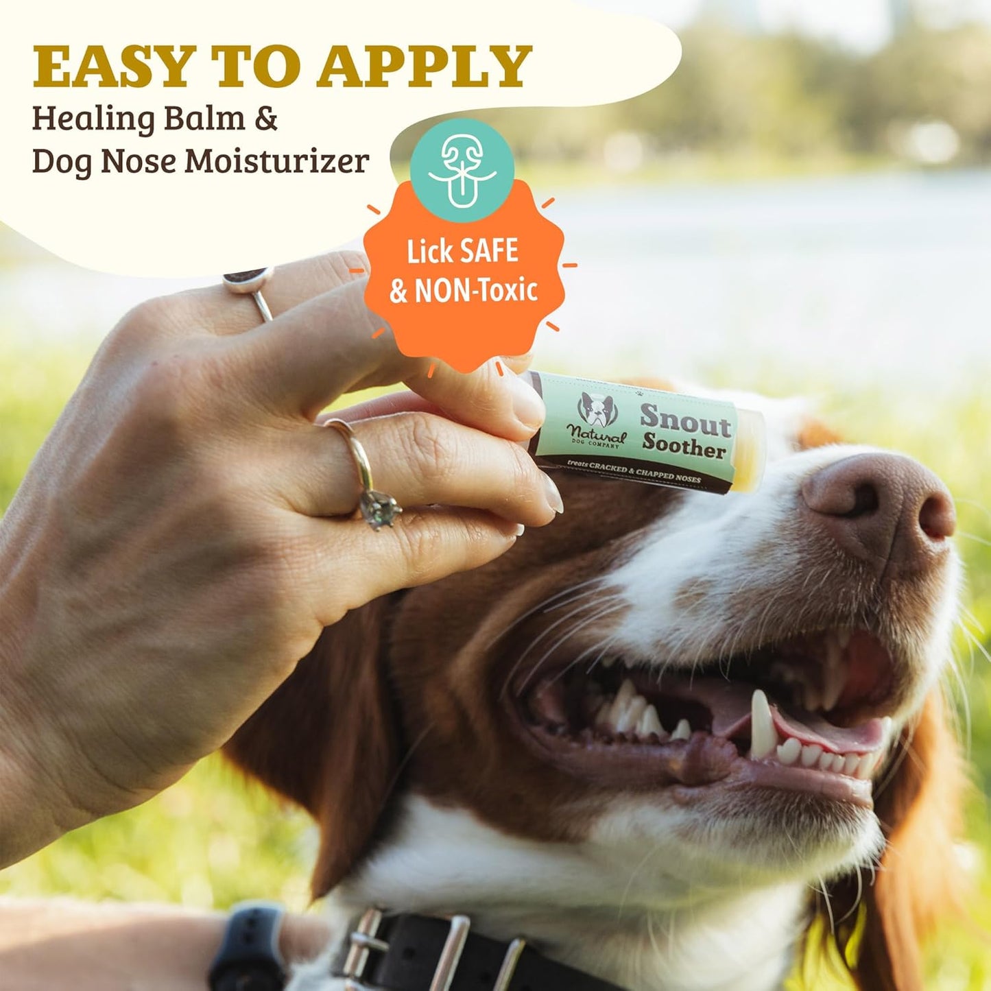 Natural Dog Company Snout Soother Balm Bundle, with 4 Travel Sticks (0.15 oz Each), Wax for Dry, Cracked Noses, Heals & Moisturizes with Shea Butter & Coconut Oil, Lick-Safe Nose Butter, Made in USA