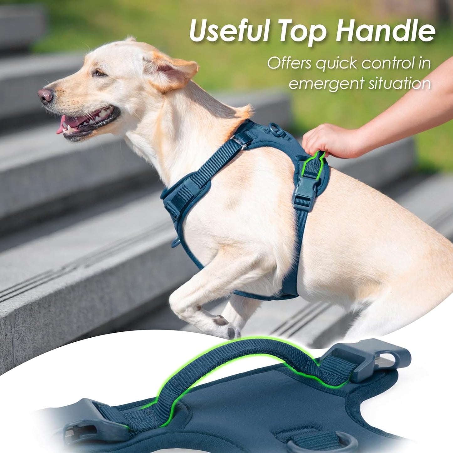 No Pull Dog Harness, Puppy Vest with Front Clip for Small Medium Large Sized Dog(Prussian Blue,XL)
