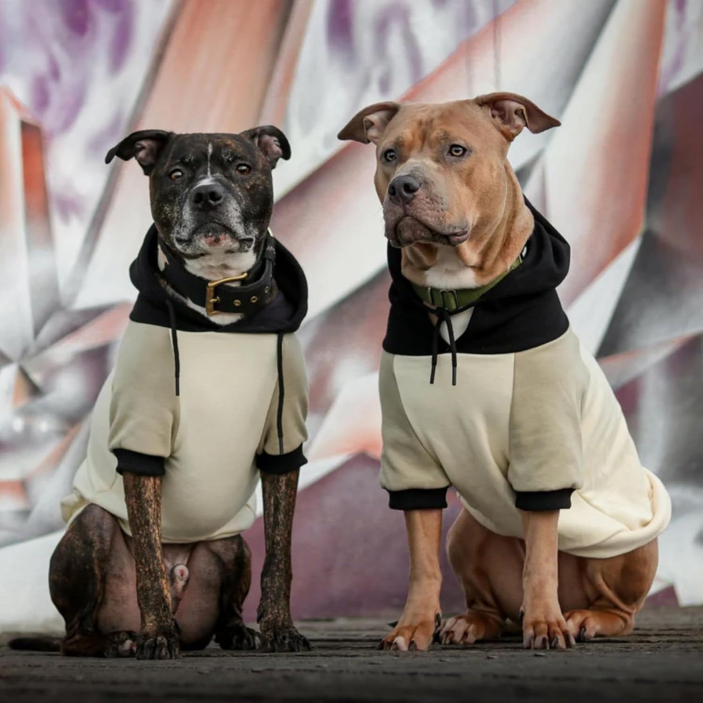 Spark Paws Dog Hoodie – Premium Dog Sweater for Small, Medium, and Large Dogs | Warm Outfits for French Bulldogs, Pitbull, Puppy, Winter Jacket Alternative - Olive Cream - 5XL